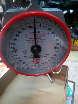 Hook Weigh Scale