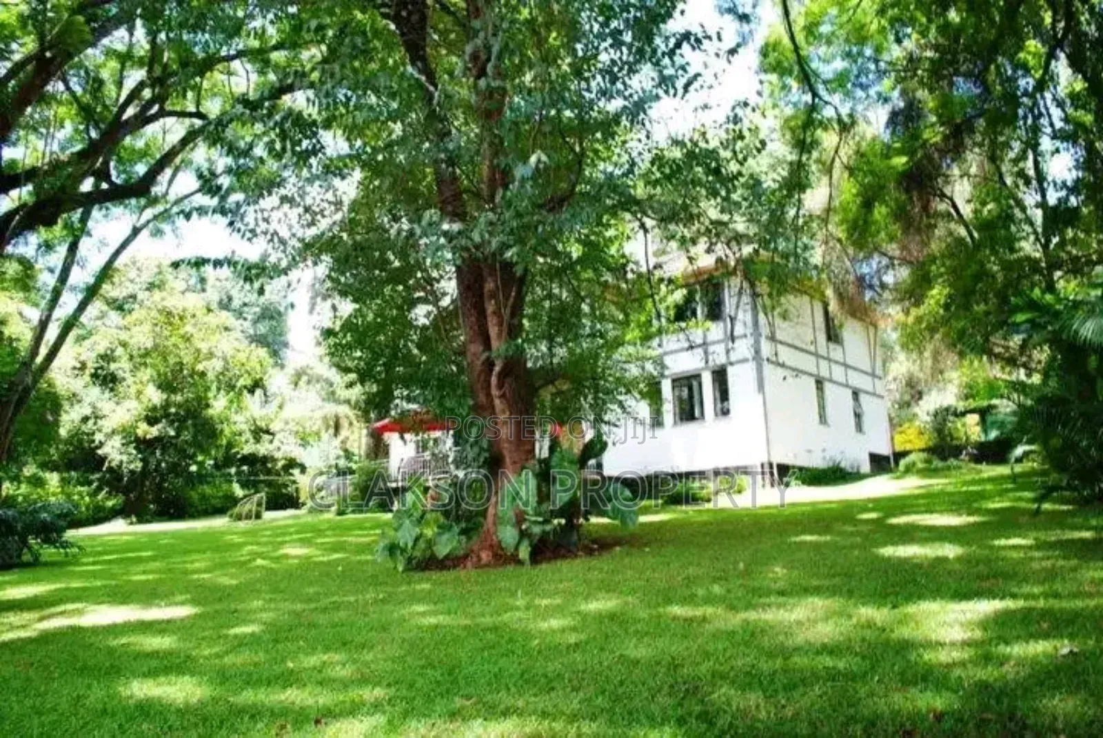 5bdrm Apartment in Rosslyn for rent