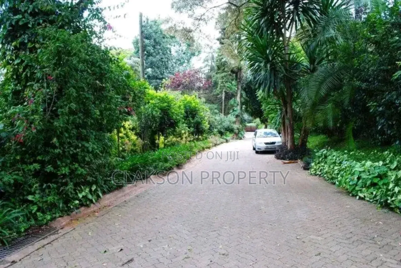 5bdrm Apartment in Rosslyn for rent