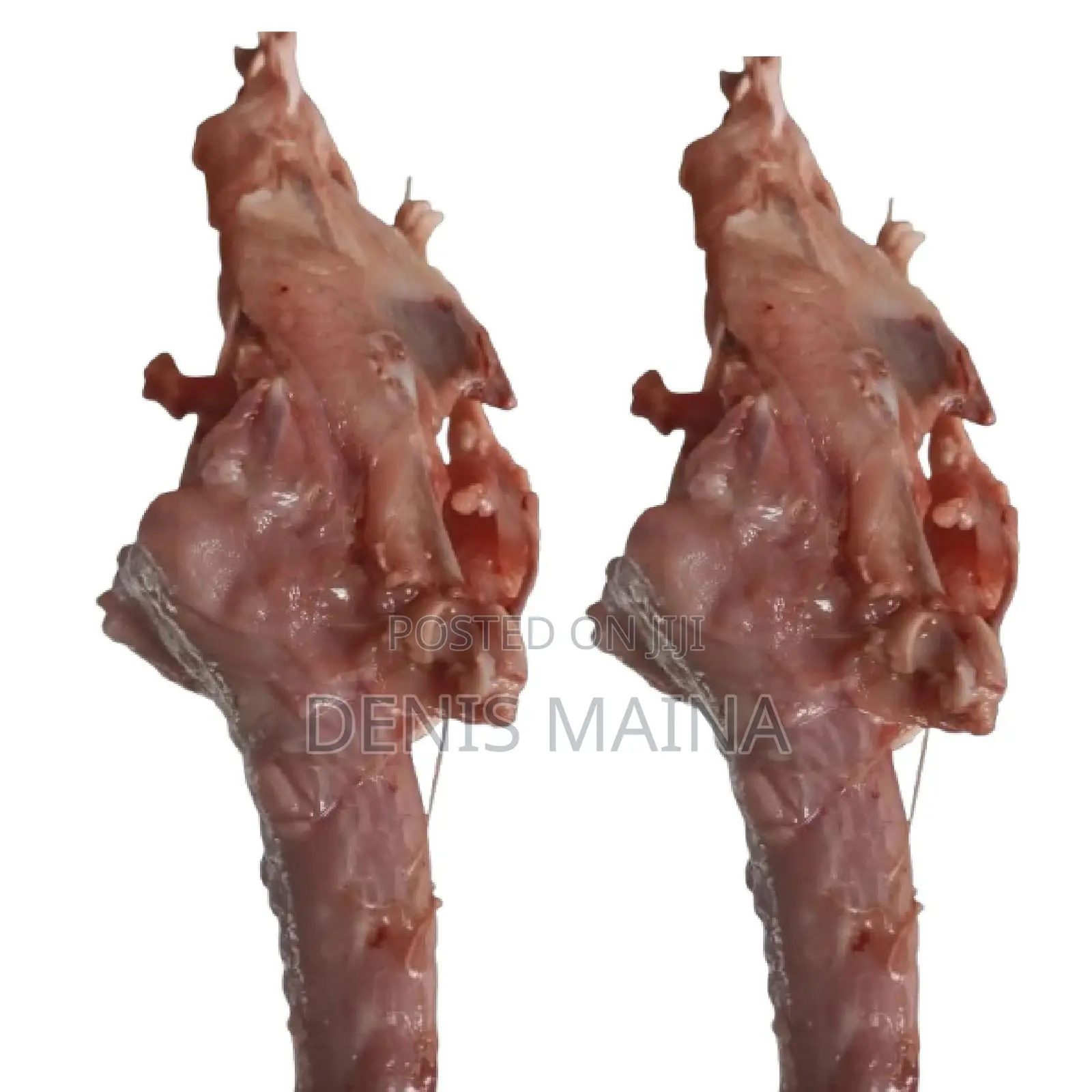 Chicken Breast For Pets