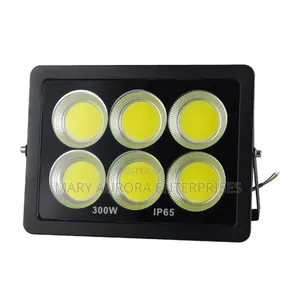 300 Watts Ac Floodlight