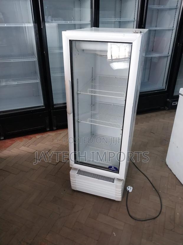 200 Litres Display Fridge - main view