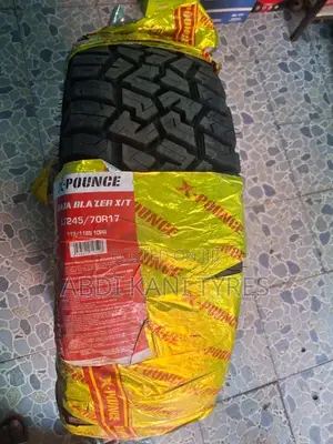 245/65r17 Bearway Tires