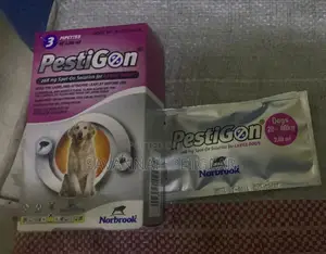 Pestigon 268 Mg Spot-on Solution for Large Dogs (20-40kg)