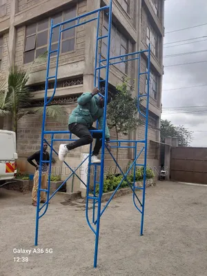 Scaffold Ladder Metallic