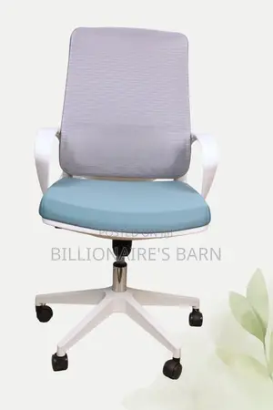 Modern White Mesh Chair With Adjustable Seat Height