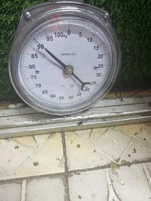 Most Appropriate 100kg Salter Scale
