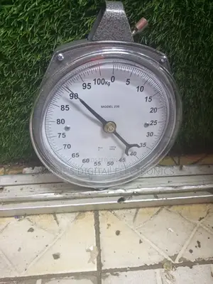 Most Reliable 100kg Salter Scale