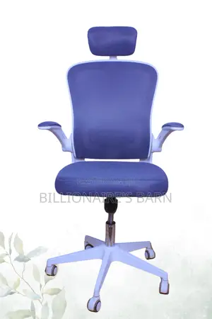 Office Chair; Desk Chair With Lumbar Support and Height