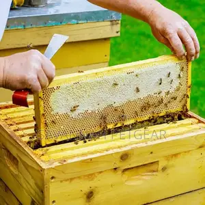 Steel Hive Scraping Tool Bee Hive Frame Lifter and Scraper