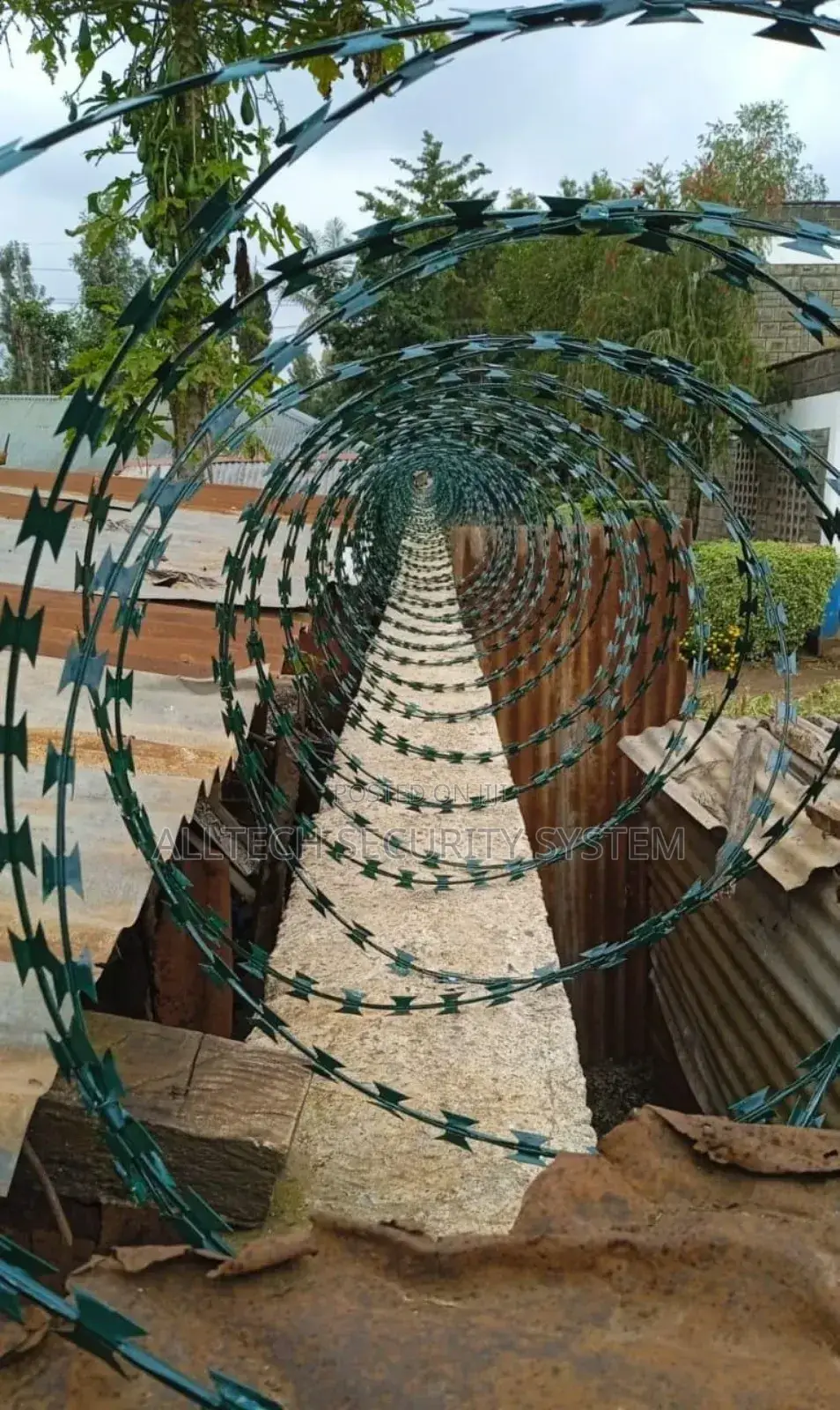 Double Galvanised Green Razor Wire