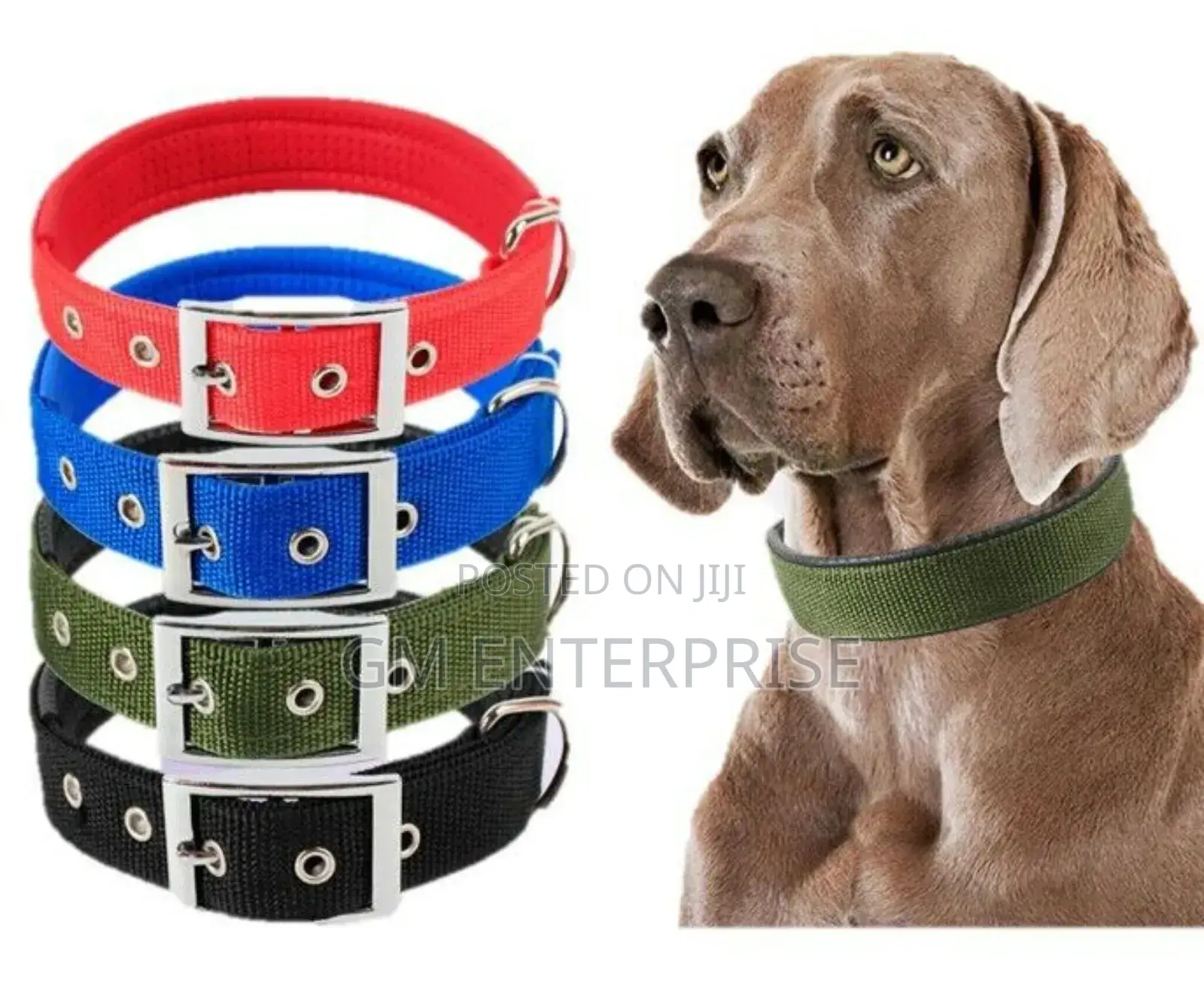Heavy Duty Dog Collar.