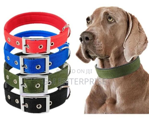 Heavy Duty Dog Collar.
