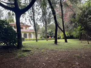 Half Acre Kilimani