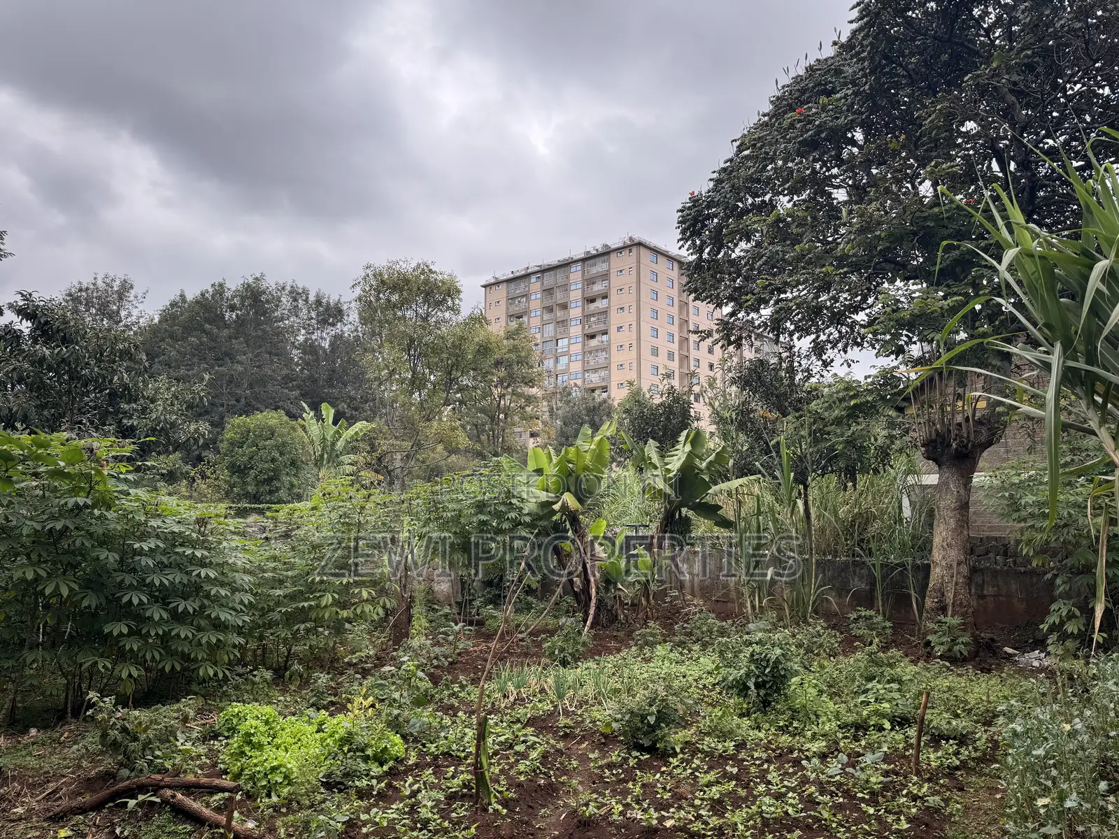 Half Acre Kilimani