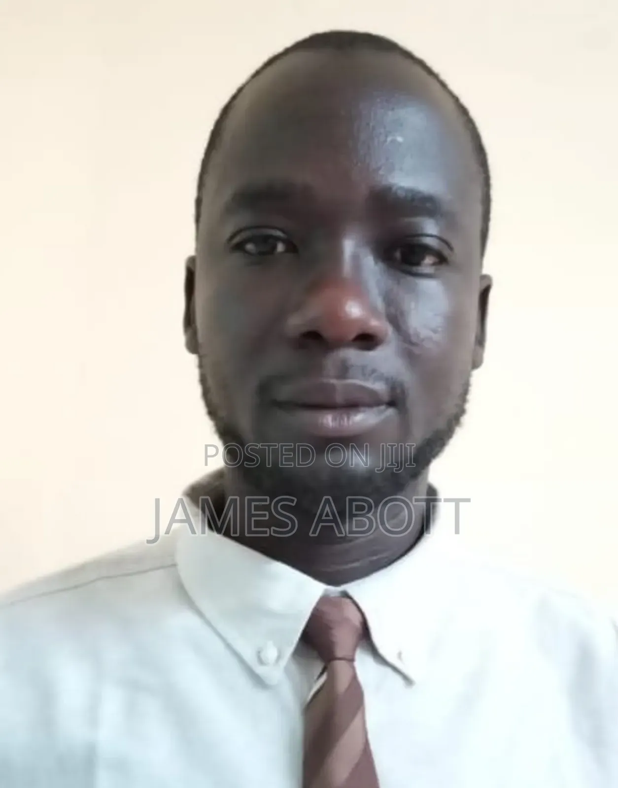 Sales Agent