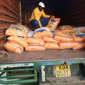Lorry for Transportation Accessible