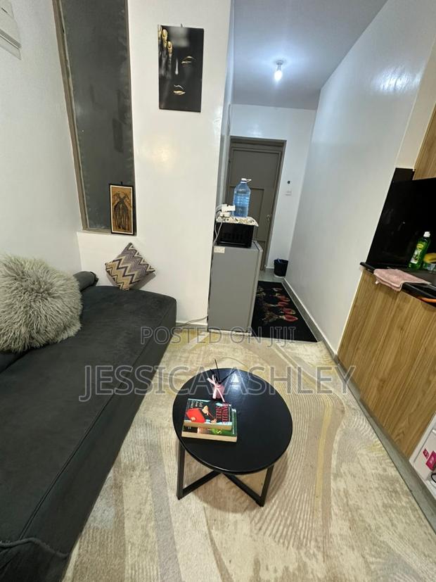 Furnished Studio Apartment in T Savo Step Up, Riruta for rent - thumbnail 3