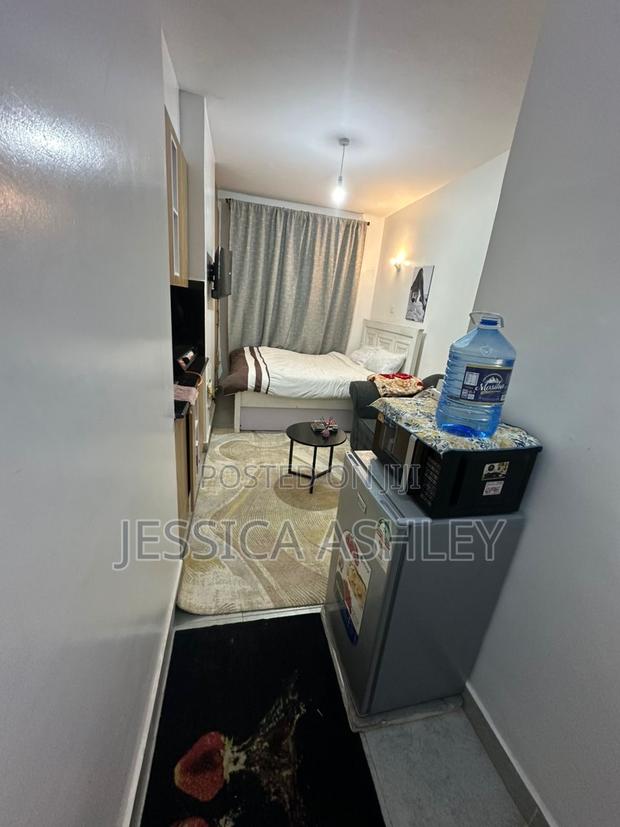 Furnished Studio Apartment in T Savo Step Up, Riruta for rent - thumbnail 7