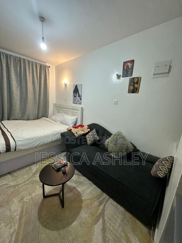 Furnished Studio Apartment in T Savo Step Up, Riruta for rent - thumbnail 8