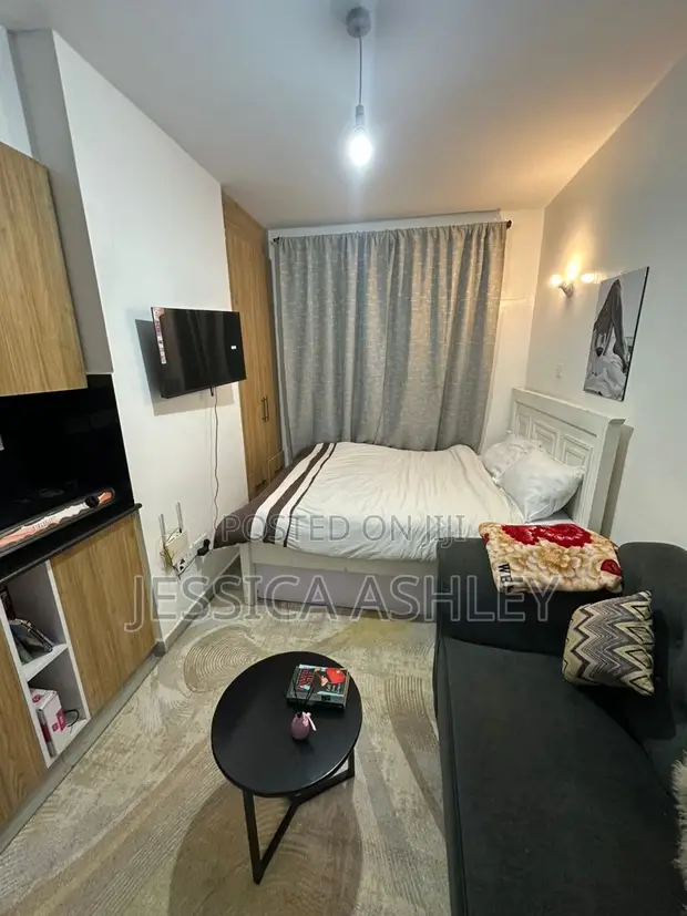 Furnished Studio Apartment in T Savo Step Up, Riruta for rent