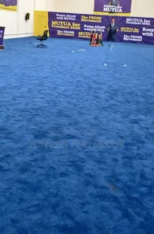 Professional Fixing of Usa Wall to Wall Carpet