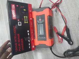 Intelligent Pulse Repair Charger