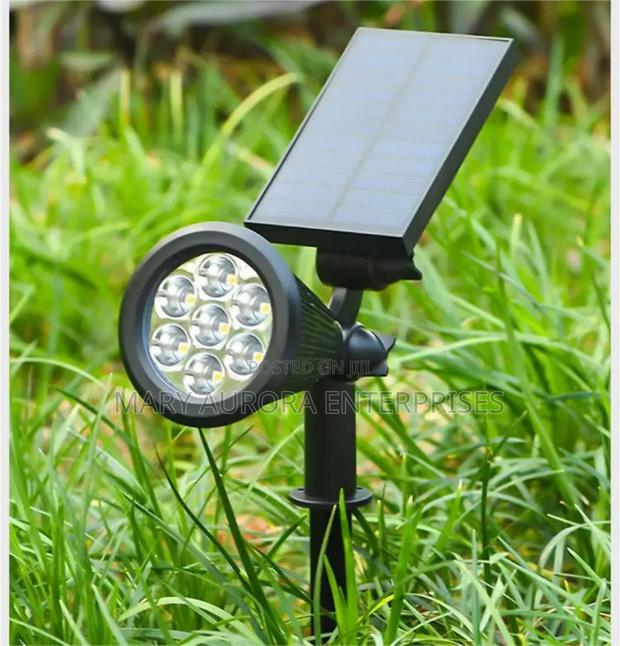 Solar Spike Light/Garden Lights - main view