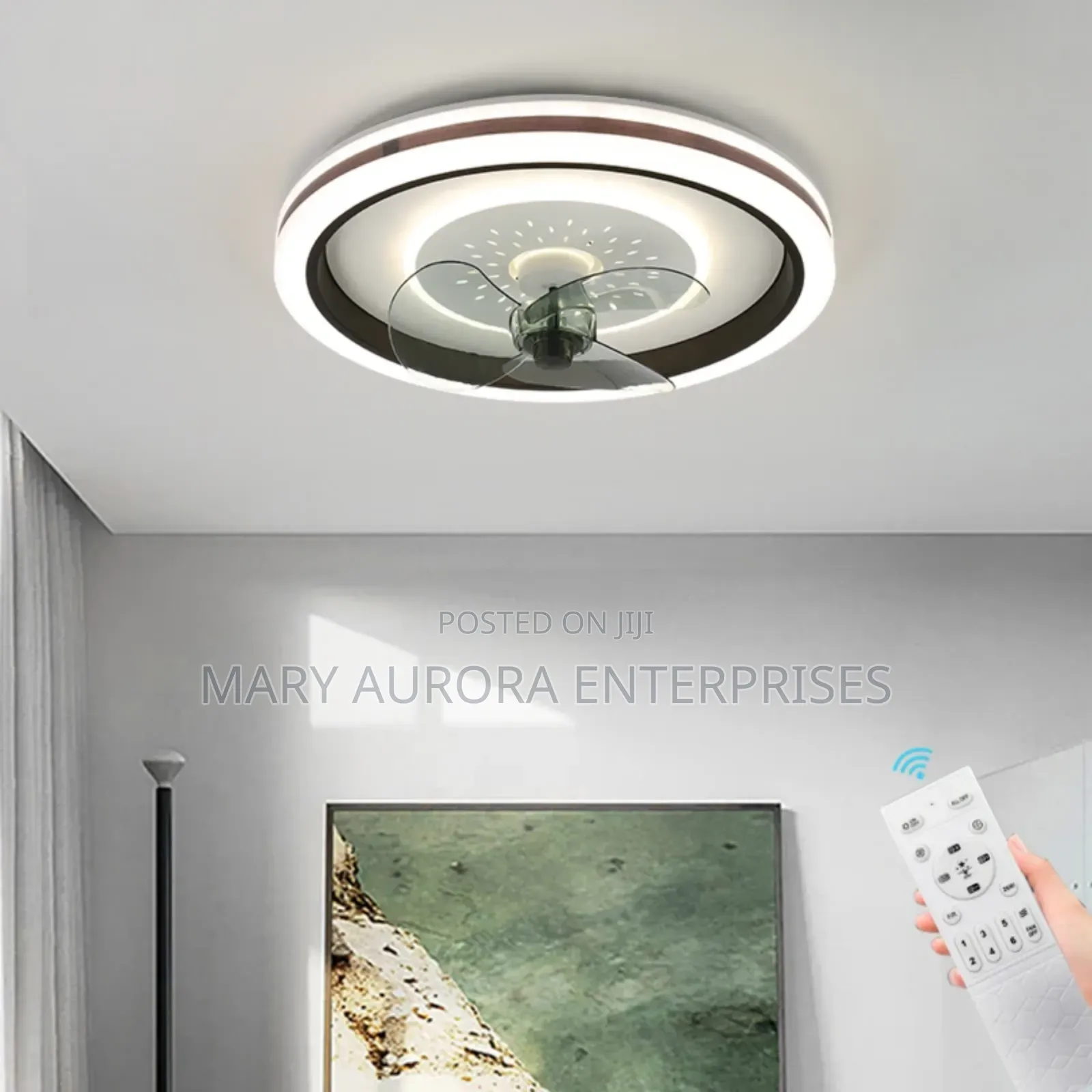 Ceiling Light With Fan