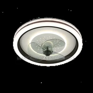 Ceiling Light With Fan