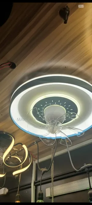 Ceiling Light With Fan