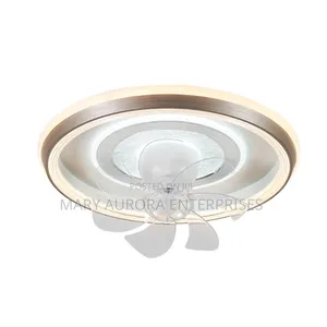 Ceiling Light With Fan