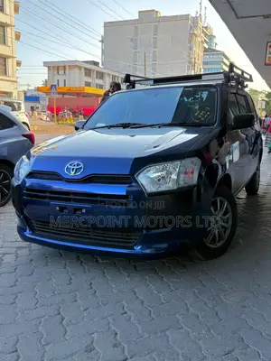 Toyota Probox 1.5 DX 2WD 2019 Blue