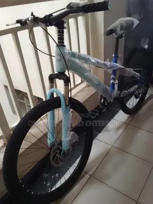 Size 24 Bike Top Quality With Gears