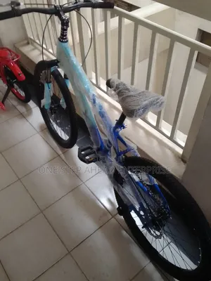 Size 24 Bike Top Quality With Gears