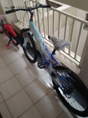 Best Quality Size 24 Strong Bike
