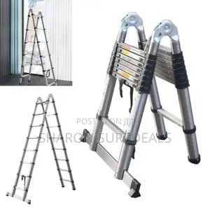 Quality Double Telescopic Ladder/Aluminium Ladder 3.1+3.1m