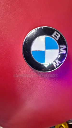 Bmw Front Logo