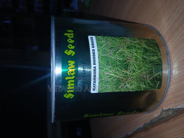 Katambora Rhodes Grass - thumbnail 3