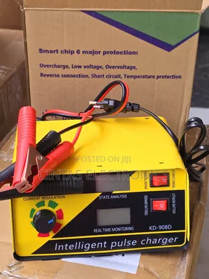 Intelligent Battery Charger 12v/24v
