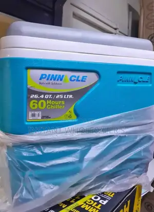 Quality Portable 25 Litres Cooler Box