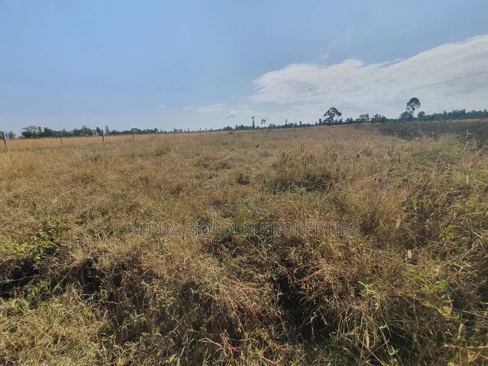 1 Acre Barguret Area