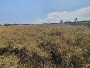 1 Acre Barguret Area