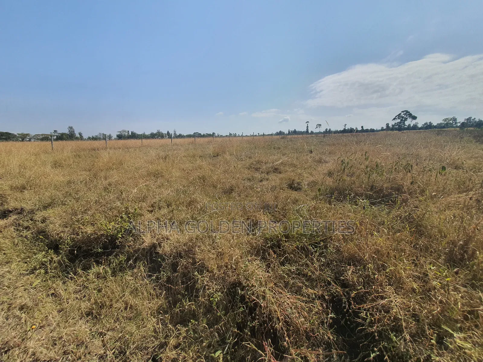 1 Acre Barguret Area