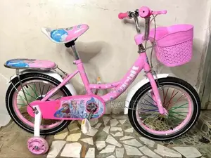 Bike Size 16