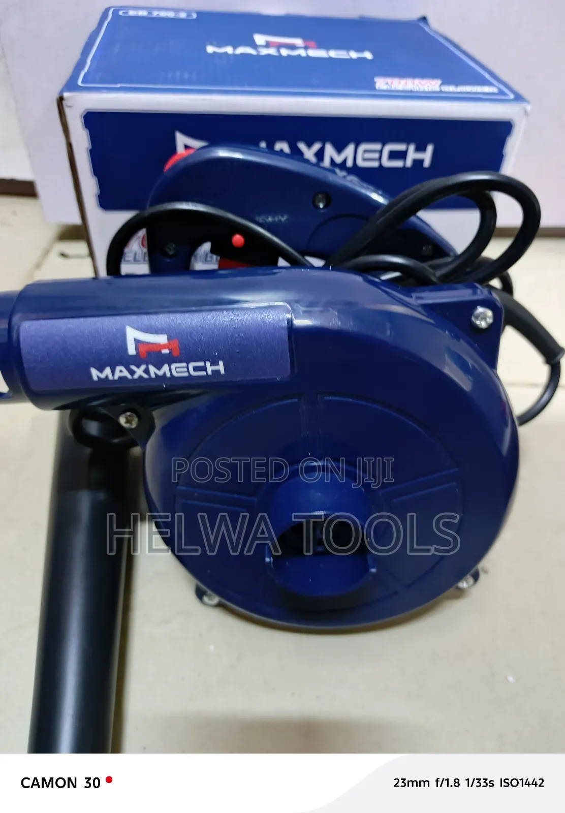 Electric Blower 700 Watts