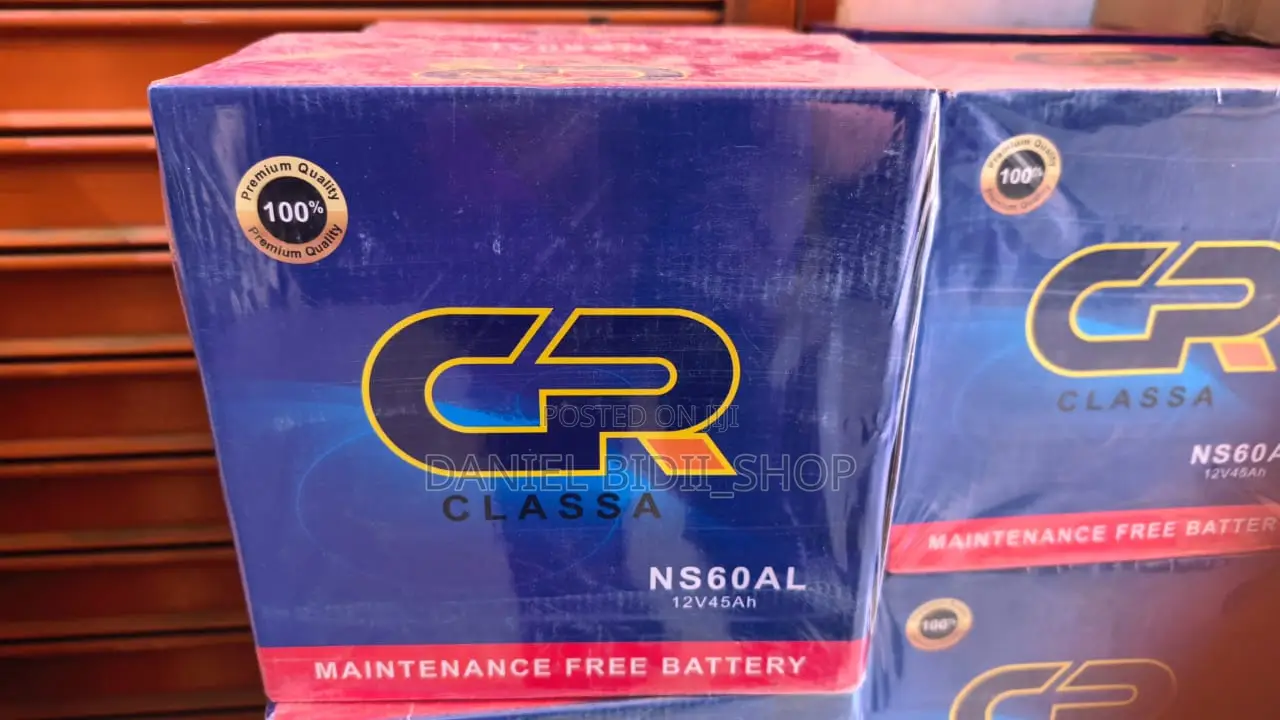 Ns60 Left Car Battery Free Maintenance