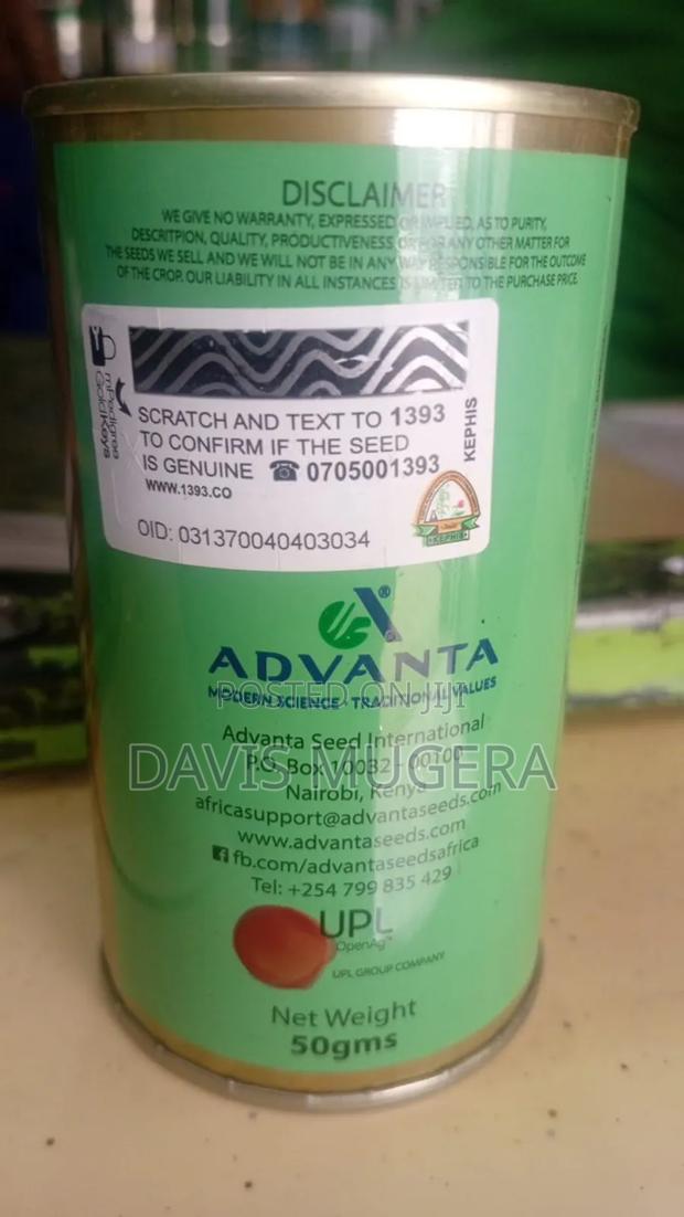 Advanta Celery Tall Utah Seeds - 50 Grams - thumbnail 3