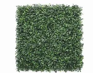 40 by 60 Wall Hedge