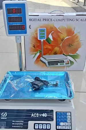 Acs Hand Computing Scale/ Digital Acs Computing Scale